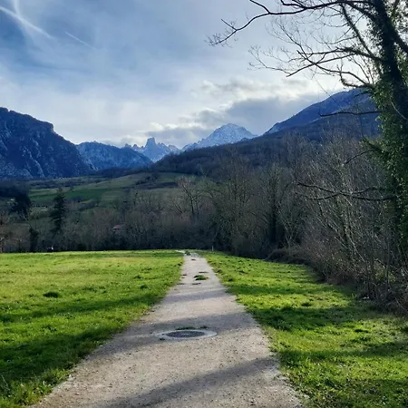 Apartment Ca Na Martina *