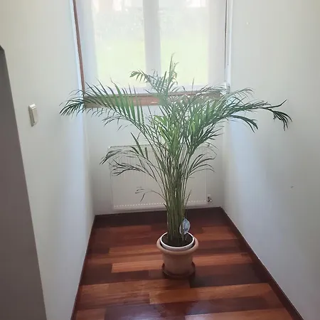 Ca Na Martina Apartamento