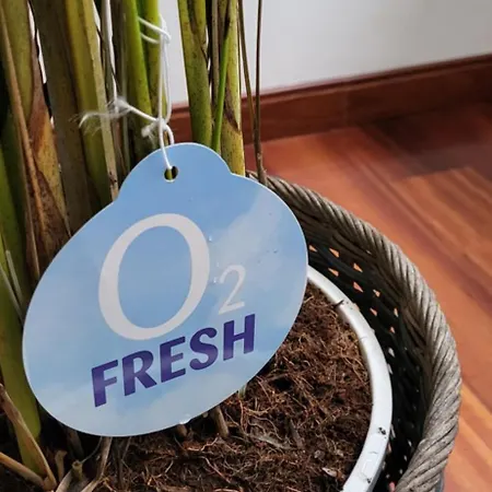 Ca Na Martina Apartment Carrena de Cabrales