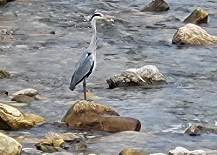 Ca Na Martina Appartement Carrena de Cabrales