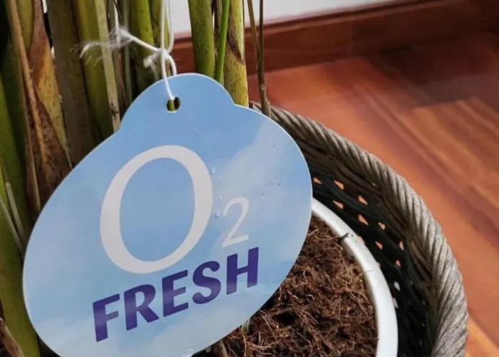 Ca Na Martina Appartement Carrena de Cabrales